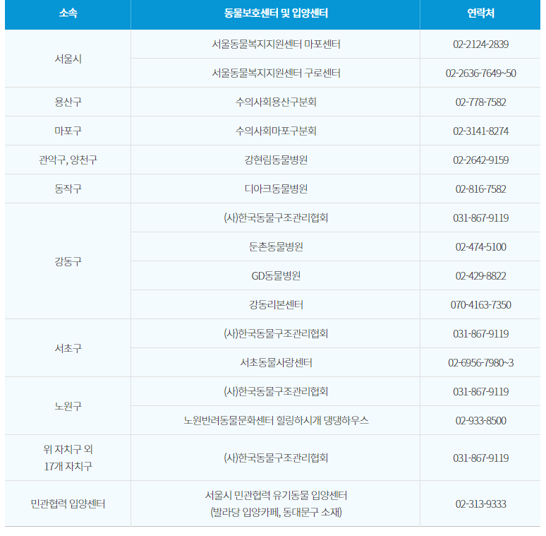 유기견 안심보험 지원
