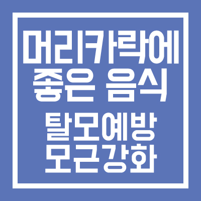 머리카락에 좋은 음식 총정리(탈모예방, 모근강화)
