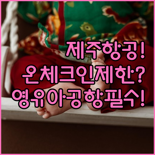 제주항공 온라인 체크인 제한 사항, ..