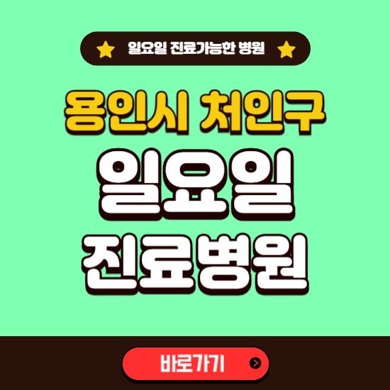 용인시 처인구 일요일 진료 가능한 병원 ❘ 주말 문여는 곳 총정리 (소아과, 내과, 안과, 치과, 피부과, 정형외과, 산부인과)