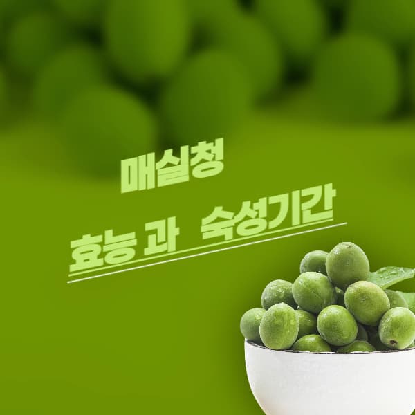 매실청의-효능