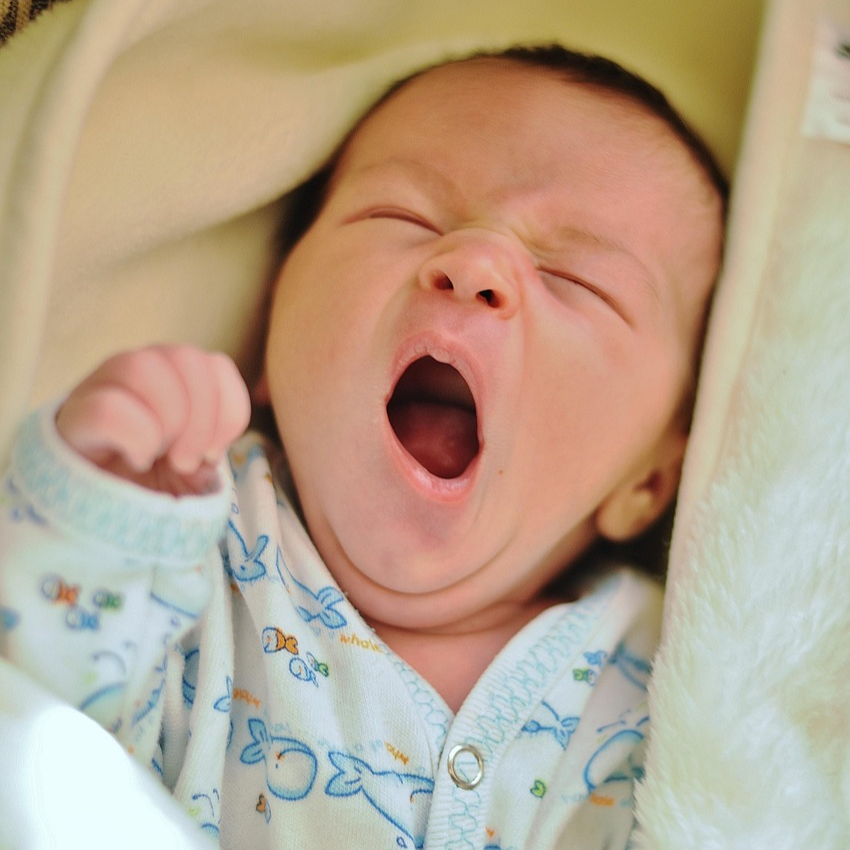 픽사베이 제공, 종달기상