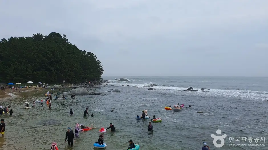 84a2a2f1-b81e-4b60-88d3-2ba0c41dd86b