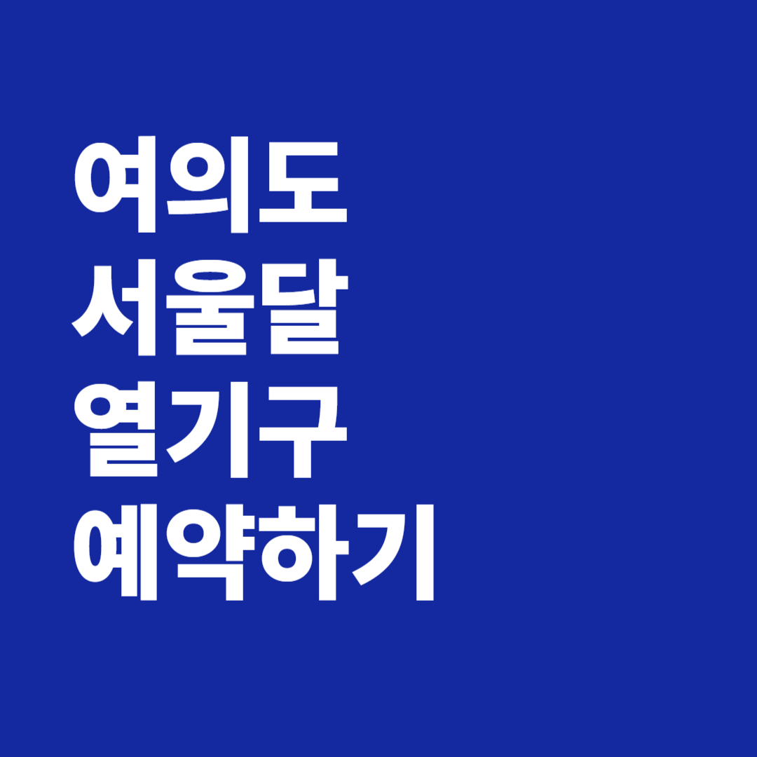 여의도 서울달 열기구 예약하기
