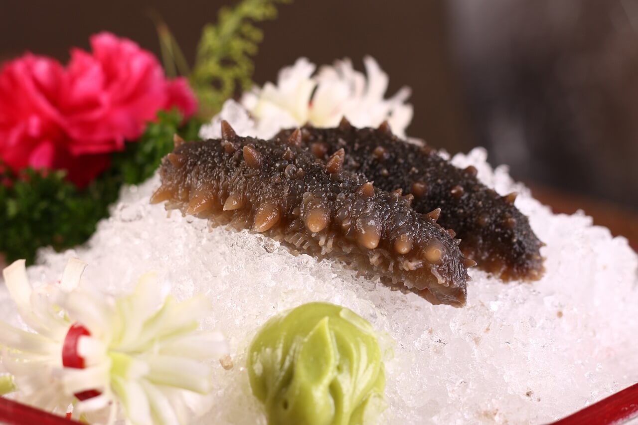 7월 제철 생선 &amp;#44; 해산물