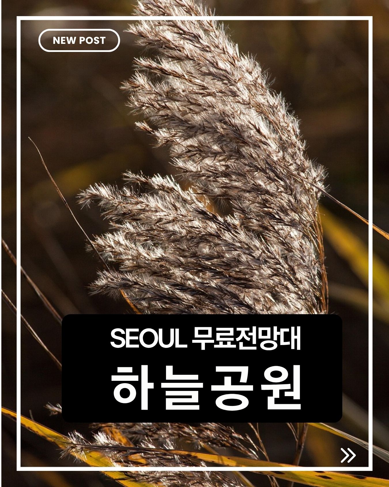 서울 하늘공원 무료 전망대,억새와 함께 즐기는 서울 최고의 파노라마 뷰