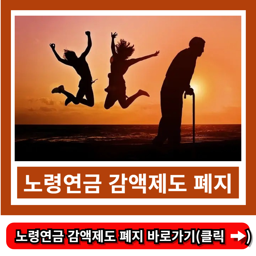 노령연금 감액제도 폐지