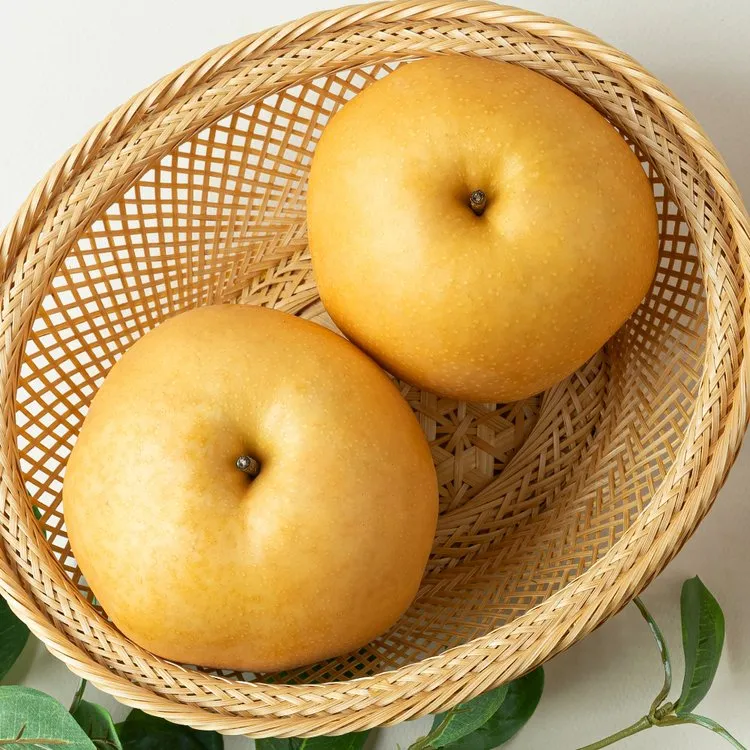 나주배 효능 특징 수확시기제철손질먹는방법나주배 보관 방법 안내_6