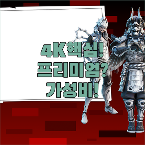 넷플릭스 프리미엄이 정말 필요한가 4..