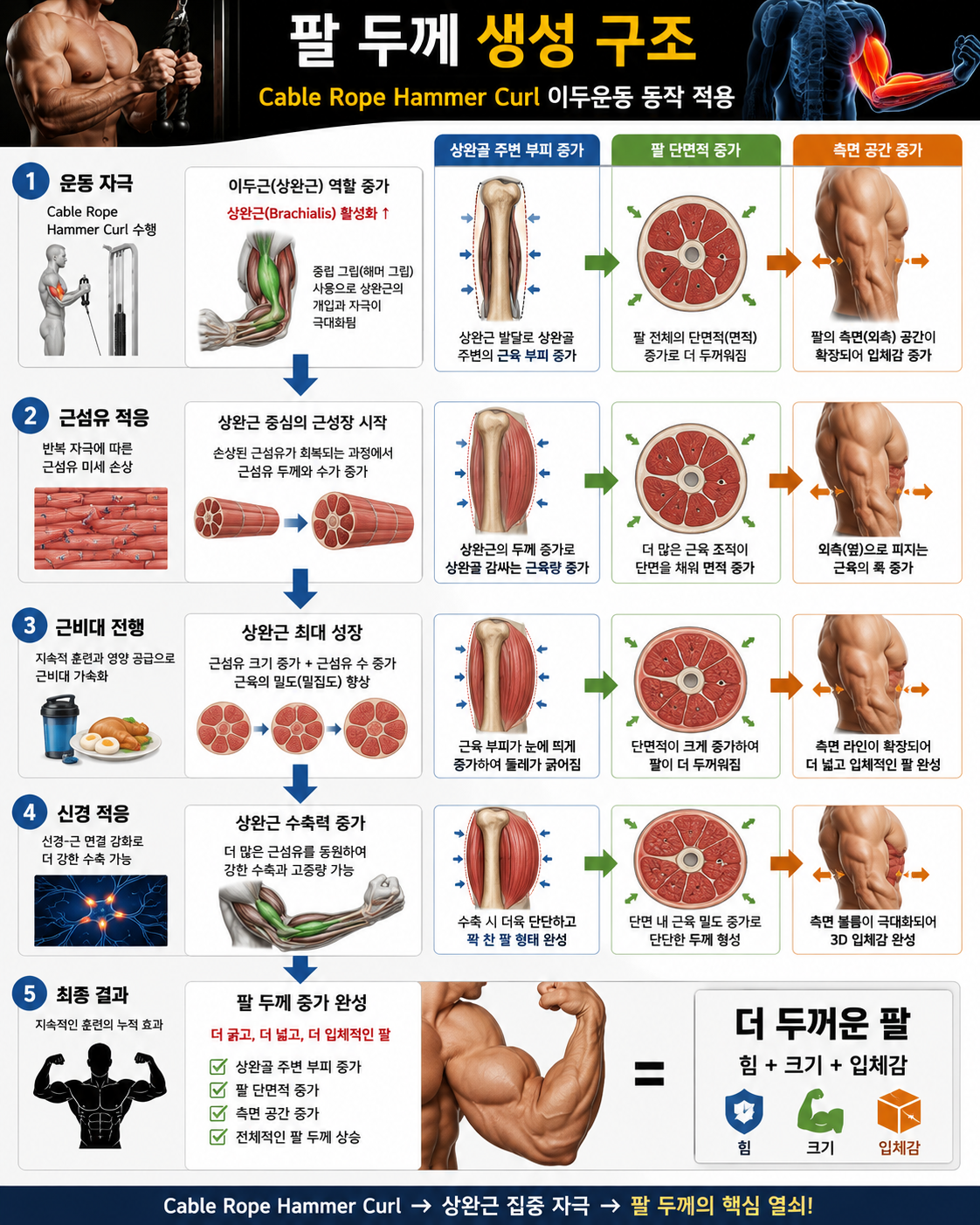 팔 두께 생성 구조