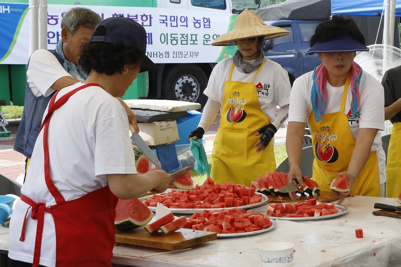 2025 제15회 진안고원 수박축제 완벽 가이드 | 한여름 달콤한 진안 여행의 필수 코스
