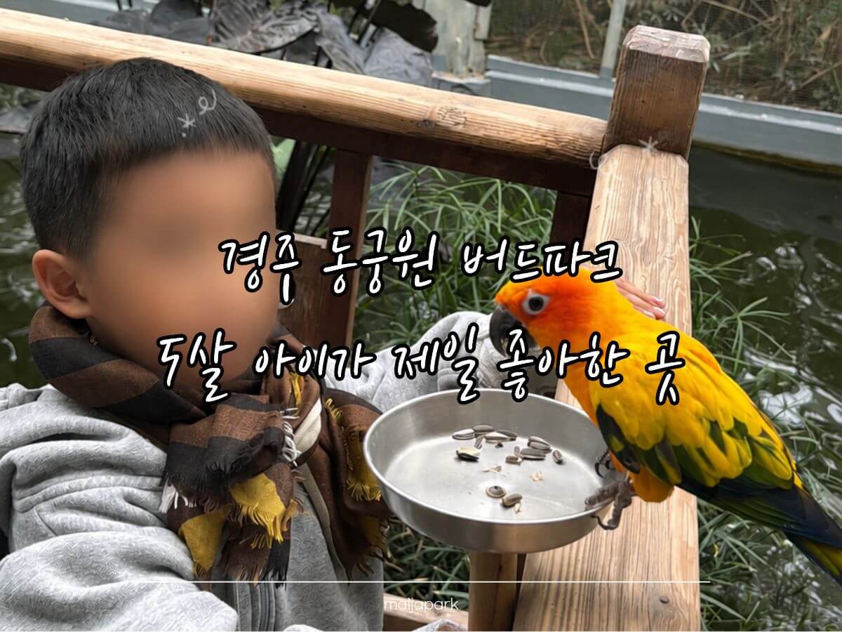 경주 동궁원 버드파크에서 아이가 앵무새 먹이체험을 하는 모습
