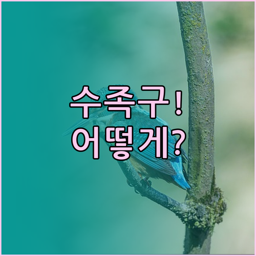 임실군 수족구 확진 시 병원 선택과 ..