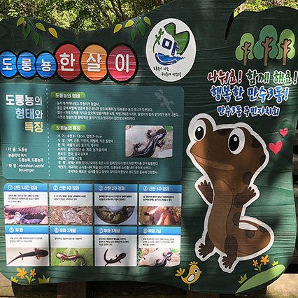 만수산도롱뇽마을