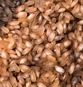 위암 초기증상 속쓰림 설사 생존율