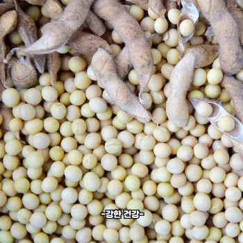 콩국수 콩삶기
