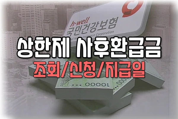 상한제 사후환급금