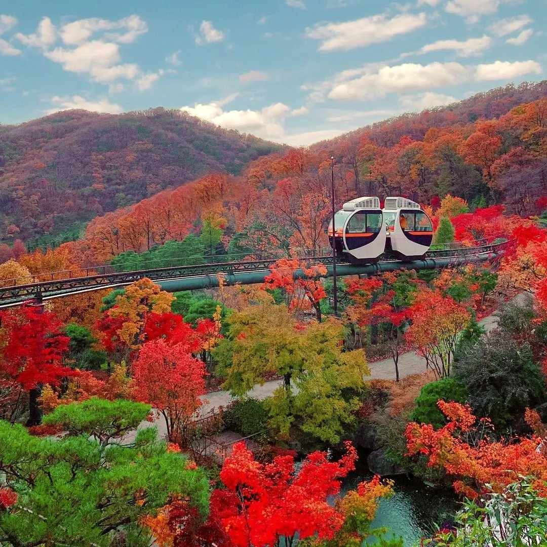 2025 화담숲 모노레일 예매 방법