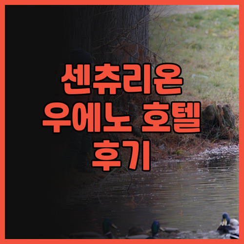 센츄리온 호텔 우에노 후기 청결도와