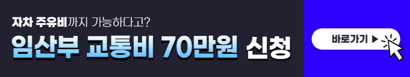 서울시 임산부 교통비 지원 신청, 사용처