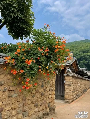 대구 가볼만한곳 베스트10 근대골목 수성못 노포맛집 여유 코스_20