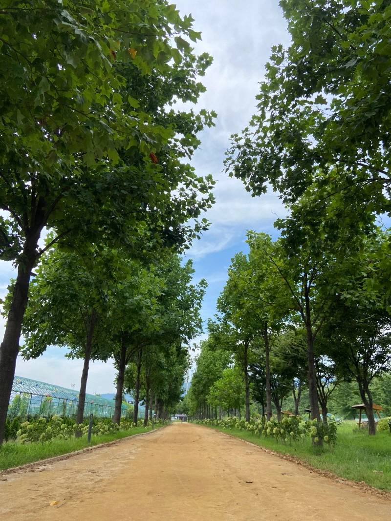 구리한강시민공원