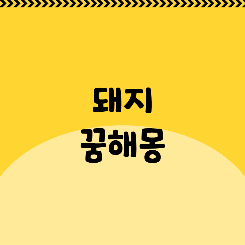 돼지 꿈해몽