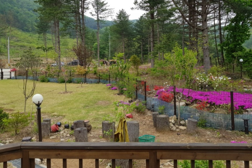 경기-가평-두밀숲-캠핑장-사진-입니다.