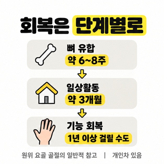 원위 요골 골절의 뼈 유합 약 6~8주, 일상활동 약 3개월, 기능 회복은 1년 이상 걸릴 수 있다는 일반적 회복 단계 도식