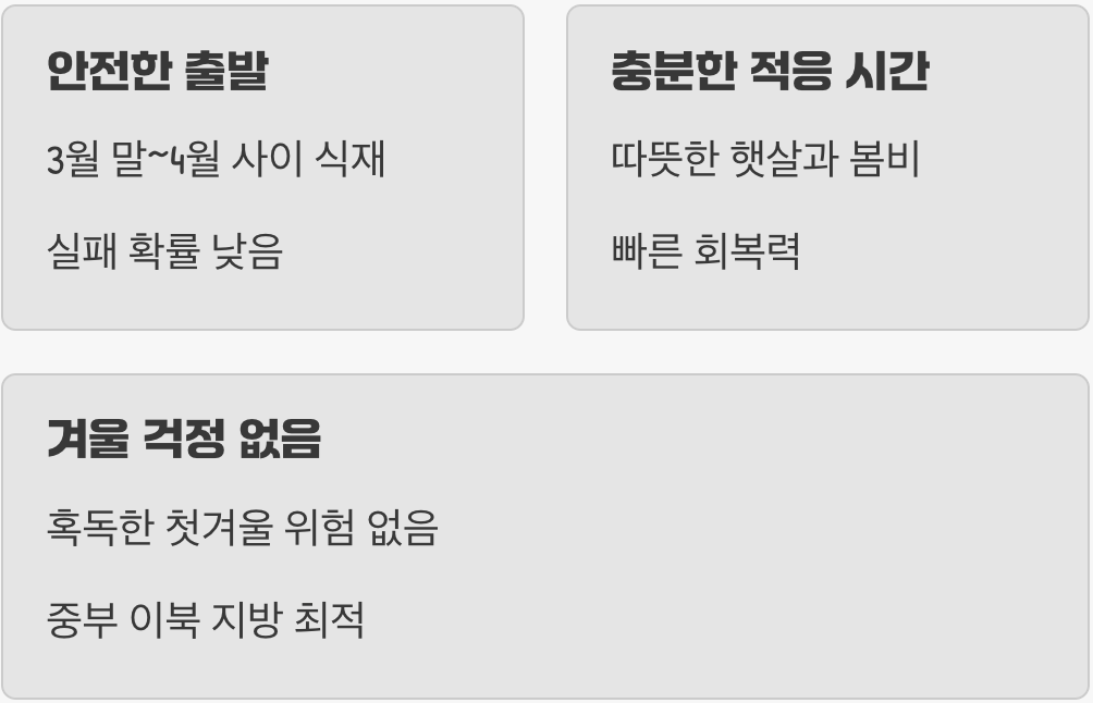 '봄 식재'의 장점: 안전한 출발