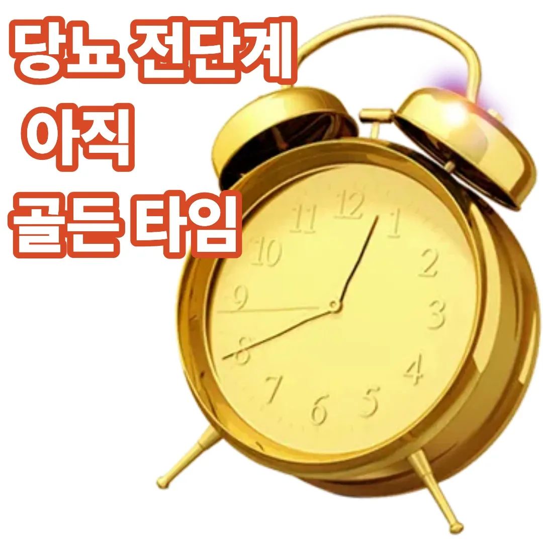 당뇨 전단계 아직 골든 타임