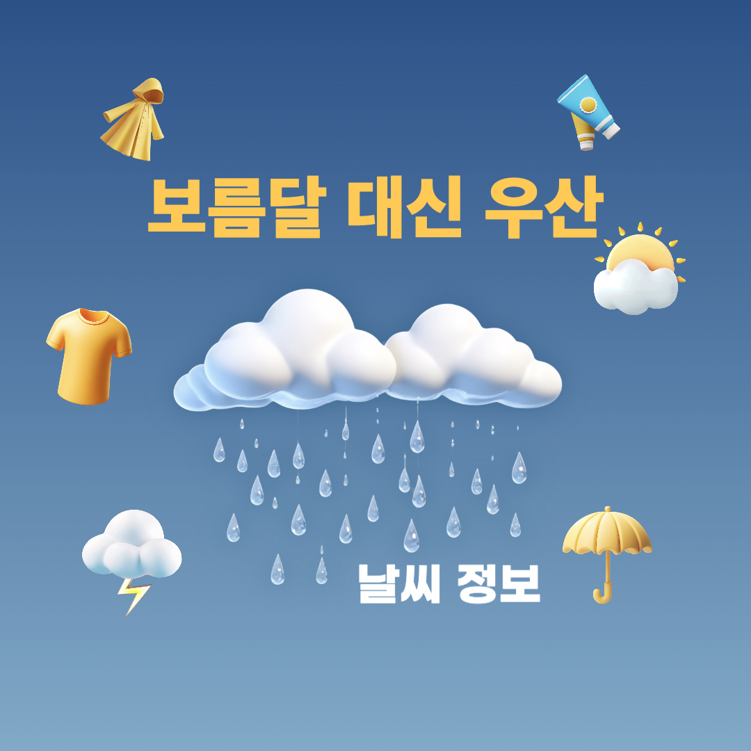 보름달대신우산