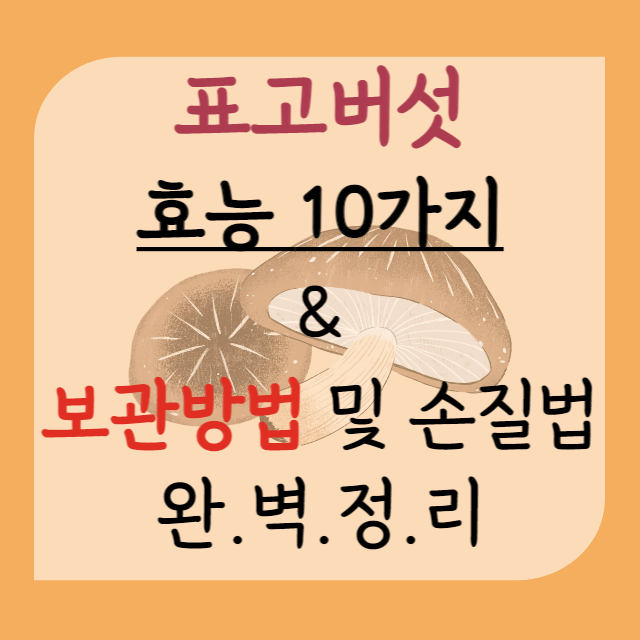 표고버섯-효능-10가지-보관방법-총정리-안내-포스터