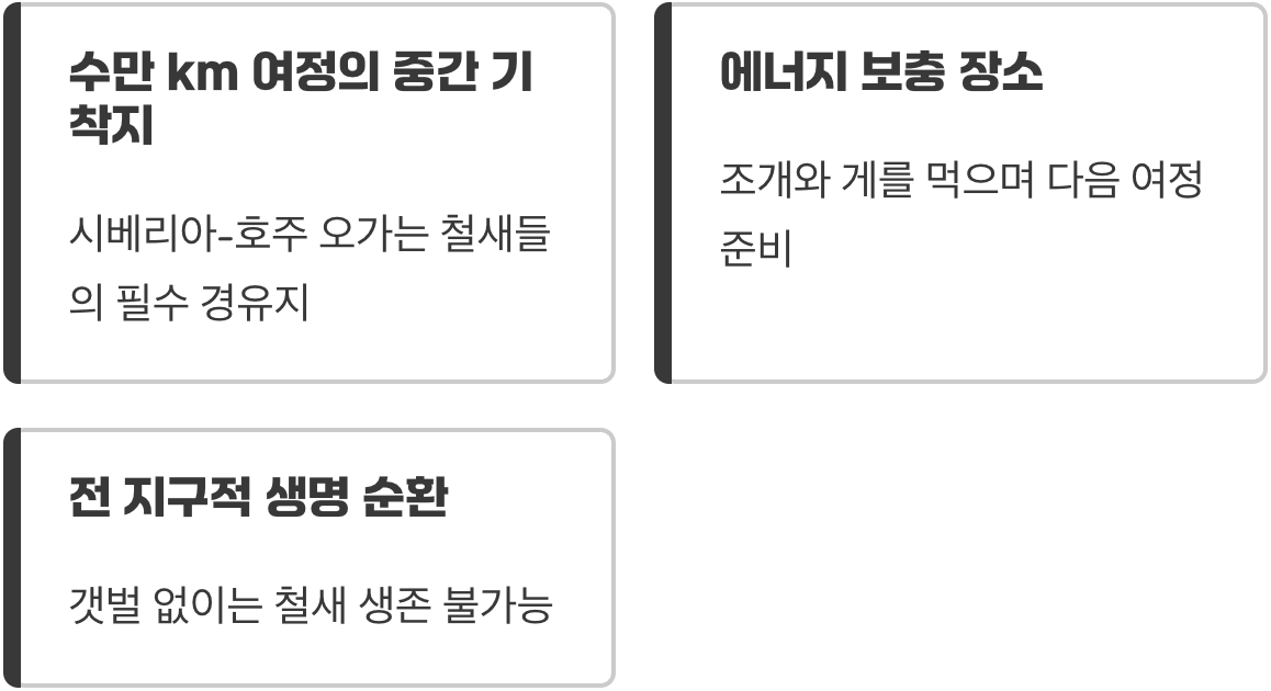 철새들의 하늘 위 고속도로 휴게소