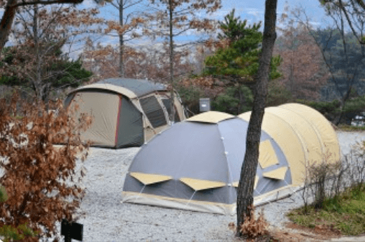 용인단풍숲캠핑장