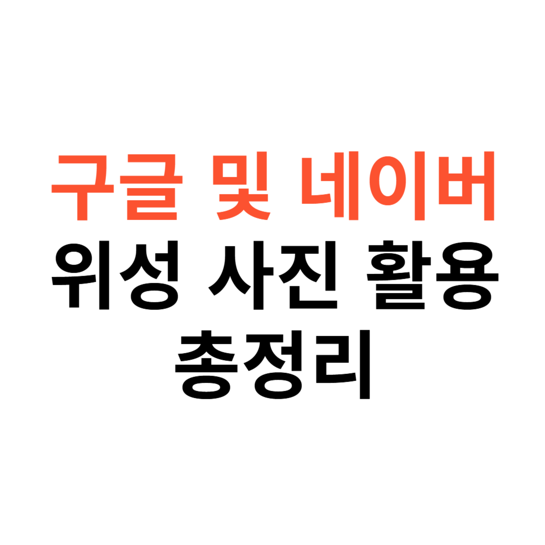 위성 사진과 거리뷰