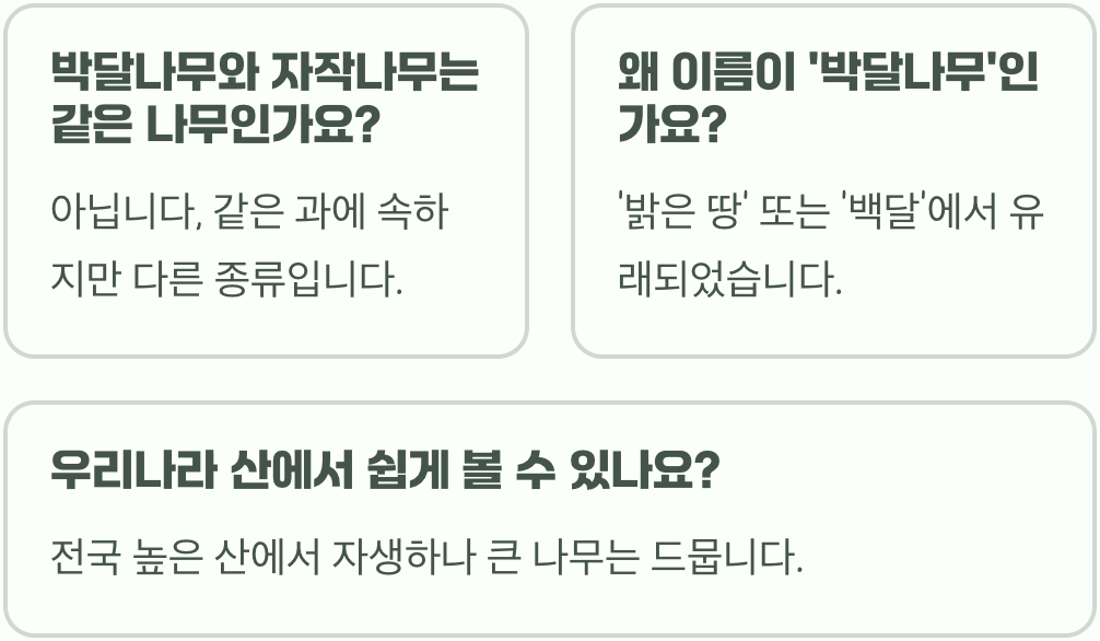 물에 가라앉는 나무, 박달나무의 놀라운 특징과 최고의 쓰임새 5가지