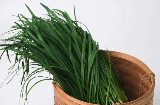 부추 효능과 영양성분&amp;#44; 부작용