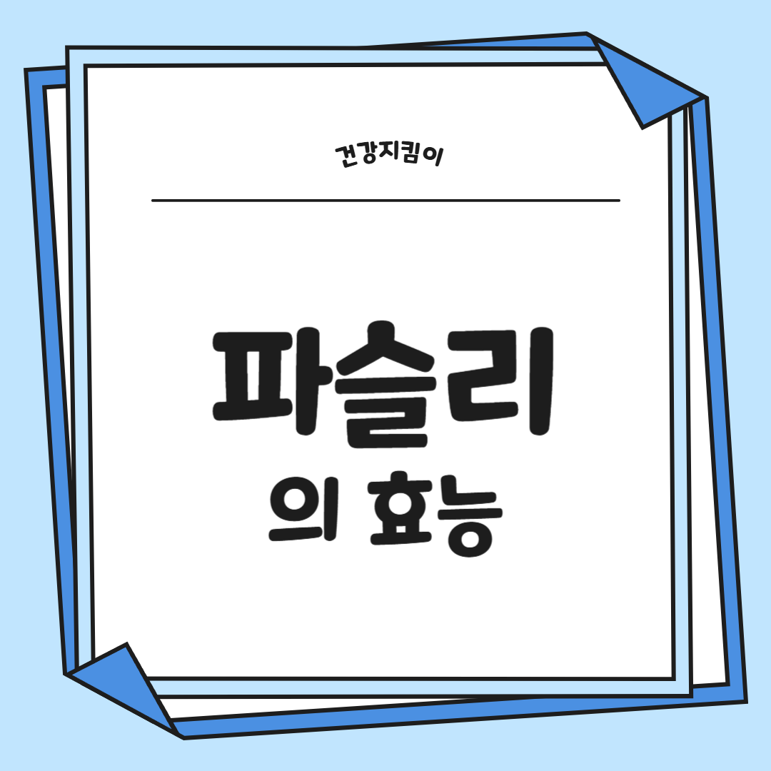 파슬리의 효능 부작용 먹는법 고르는법