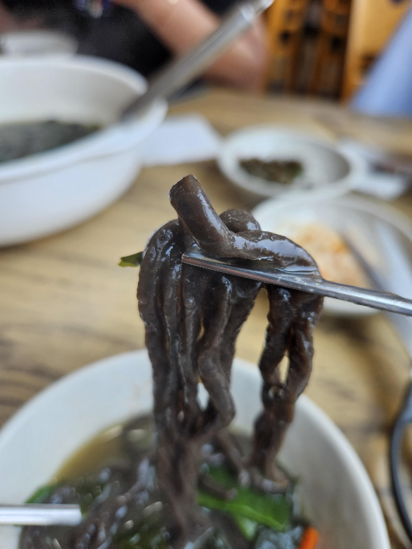 부드러우면서도 쫄깃한 톳 보말 칼국수