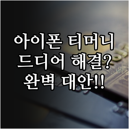 아이폰 유저를 위한 모두의카드 티머니..