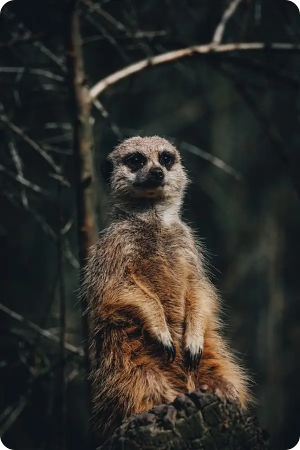 차상위계층 조건