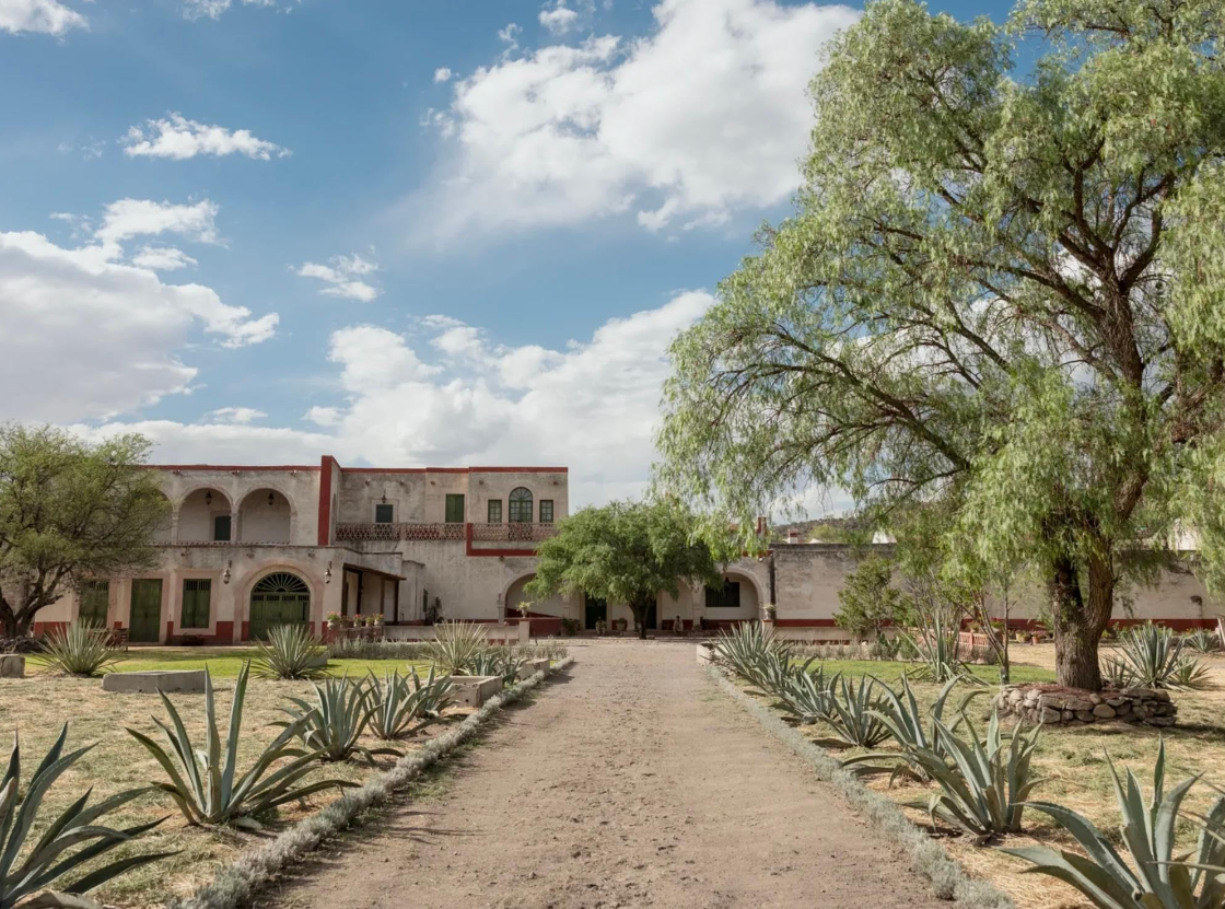 페드로 파라모 관람평