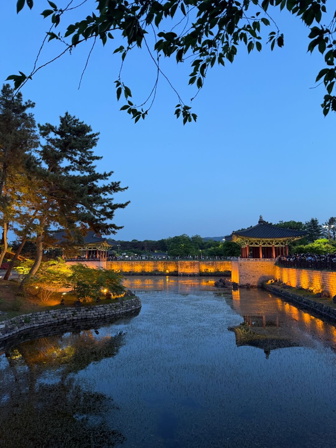 아이랑 경주 동궁과 월지 야경 코스에서 본 연못과 조명 반영