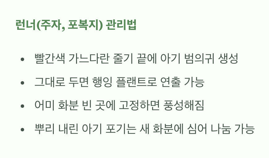 무한 번식의 즐거움&amp;#44; &amp;#39;런너&amp;#39; 관리법