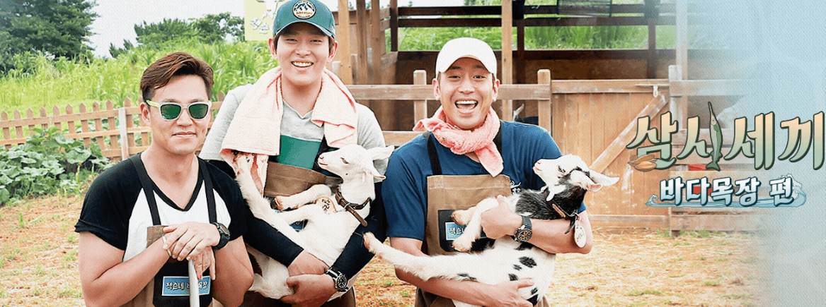 삼시세끼 출연진 사진