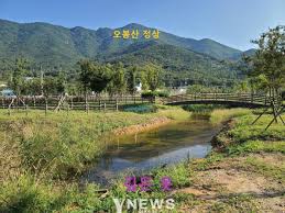 제 23회 태종대 반딧불이 관찰 체험 행사 기본일정과 특징 정리