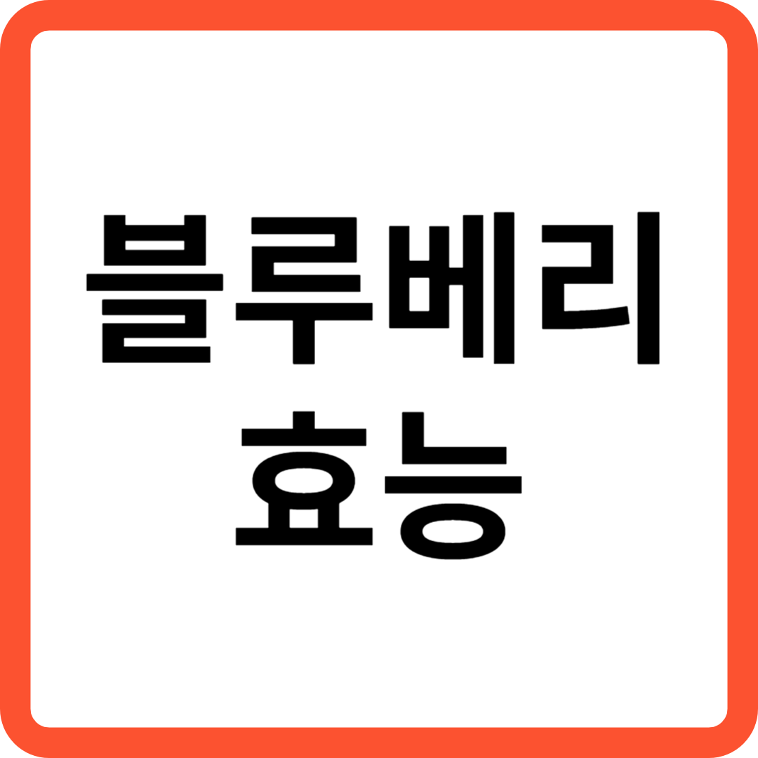 블루베리 효능 알아보기
