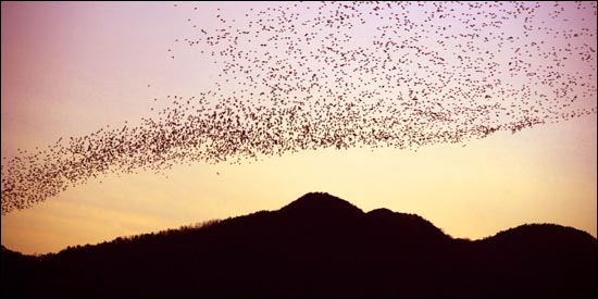 경남 창원 가볼만한곳 베스트 주남저수지