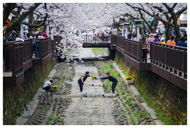 베트남어 사용자를 위한 한국 지자체 웹사이트 개선 사례